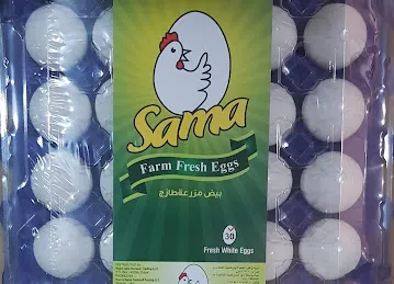 NAS - Noor Al Sama Egg Packing & Foodstuff LLC