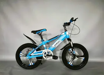 Naseer Hussain Bicycle Trading LLC