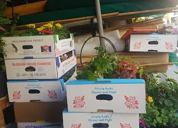 National Flowers LLC