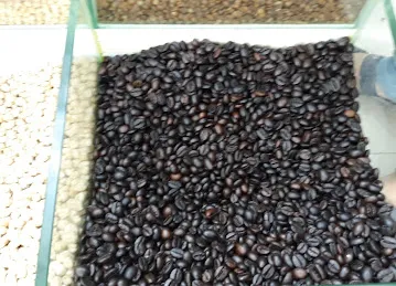 Natural Roaster Dried fruit & Nuts (Mussafah Next To KM)