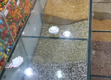 Natural Roaster Dried fruit & Nuts (Mussafah Next To KM)