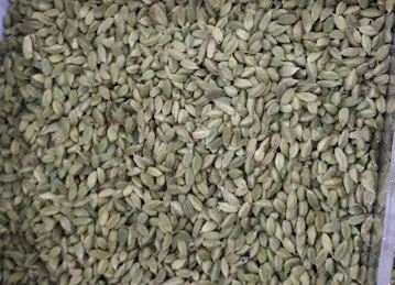 Natural Roaster Dried fruit & Nuts (Mussafah Next To KM)