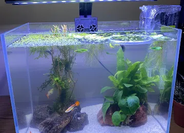 Natures Garden Aquarium