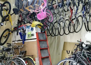 Naveed bicycles Tr