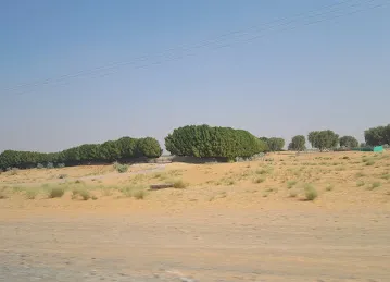 Nazwa private Park (for local residents)