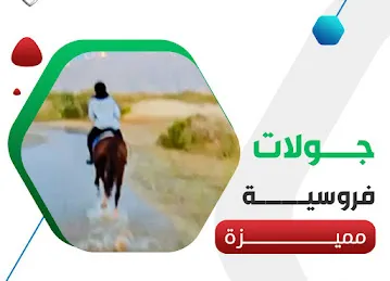 نادي الهيلي للفروسية فرع عين الفايضة
