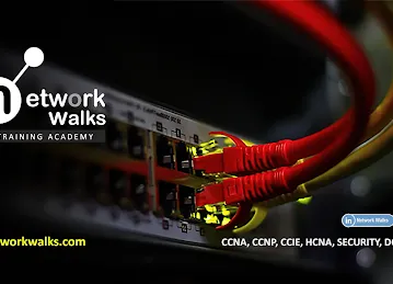 Network Walks Academy