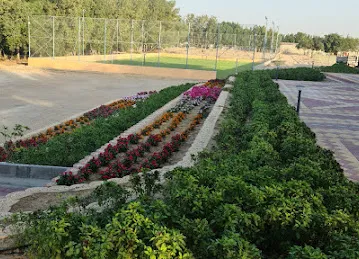 New flora plants and flowers