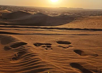 New Horizon Travel & Tours LLC