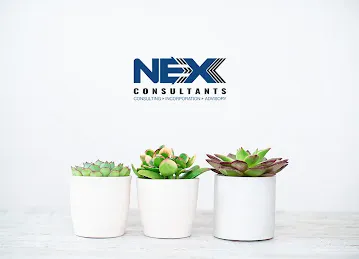 Nex Consultants
