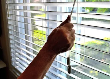 Nexus Home curtain & Blinds