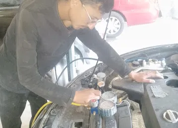 Niaz Min Shah Auto Rep