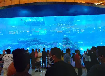 Niche Aquascape