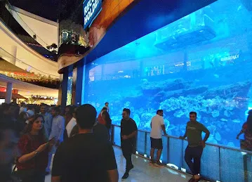 Niche Aquascape