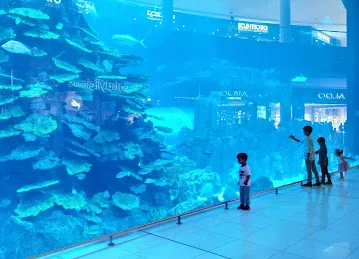 Niche Aquascape