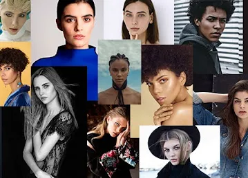 Niche Modelling Agency