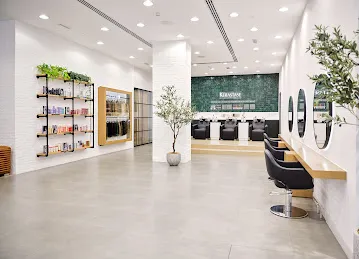 Nicolas Salon