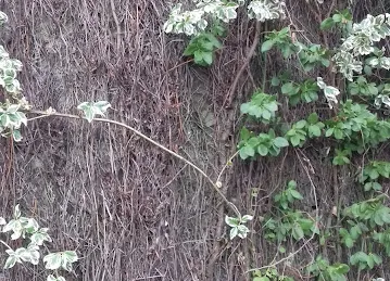 Nojom Al Tamam Garage