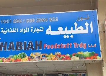 Noor al thabia l.l.c
