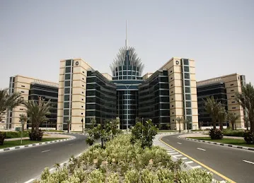 novomind MEA