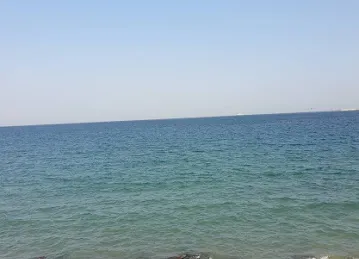 نقطة صيد المحترف