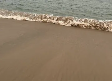 نقطة صيد المحترف