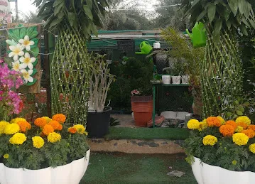 Nursery