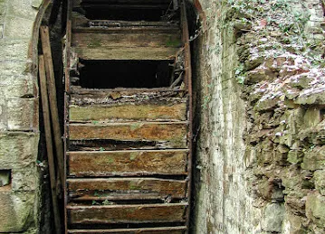 NutBay