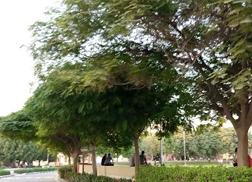 Nuzul Camp