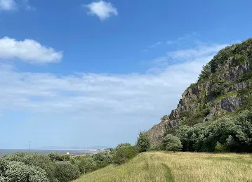 نور الخوانيج لتجارة الفواكه والخضروات