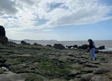 نور الخوانيج لتجارة الفواكه والخضروات