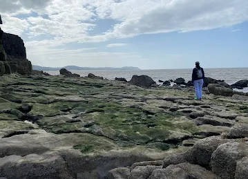 نور الخوانيج لتجارة الفواكه والخضروات
