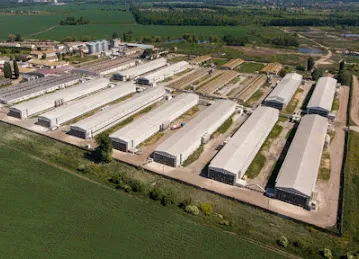 OAE Food Trade FZE
