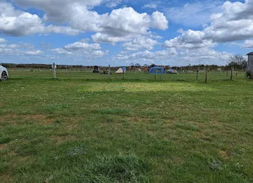 Oasis Star Gen Trdg
