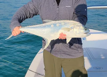 Ocean Active Fishing
