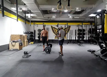 OCR Nation Gym | Yallah CrossFit