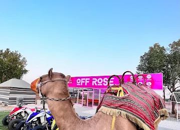 OFF ROSE