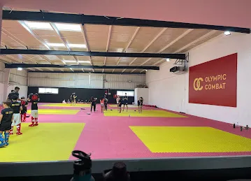 Olympic Combat