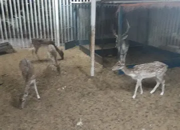 Omar farm