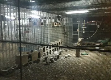 Omar farm
