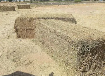 Omar farm