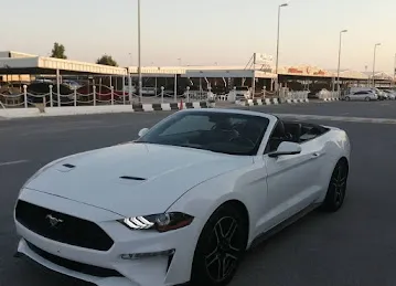 Omran Asaad Used Cars Trading