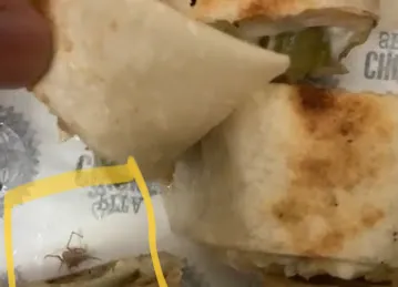 Operation Falafel