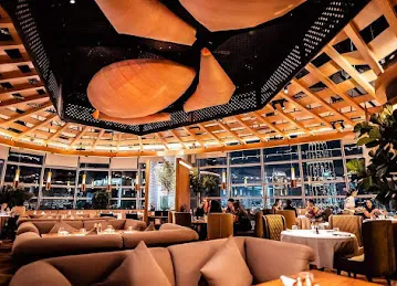 Orange Chameleon DIFC