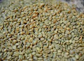 Organic Coffee Beans