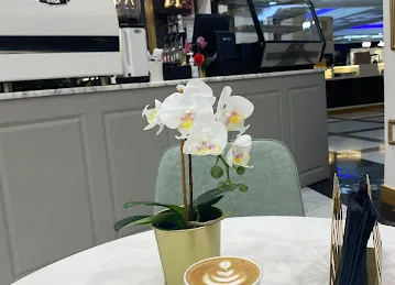 OROSA CAFÉ