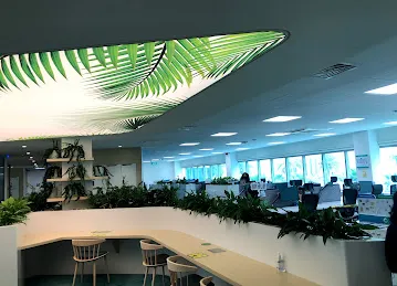 P&G Dubai