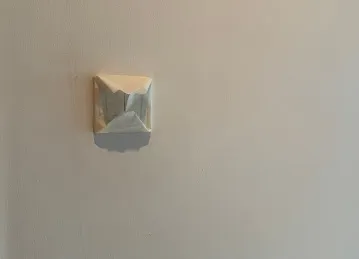 Painting Pro Services Dubai