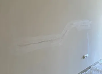 Painting Pro Services Dubai