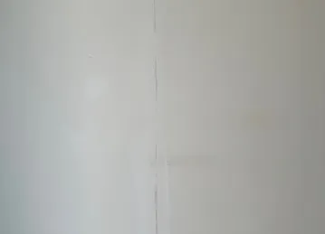 Painting Pro Services Dubai